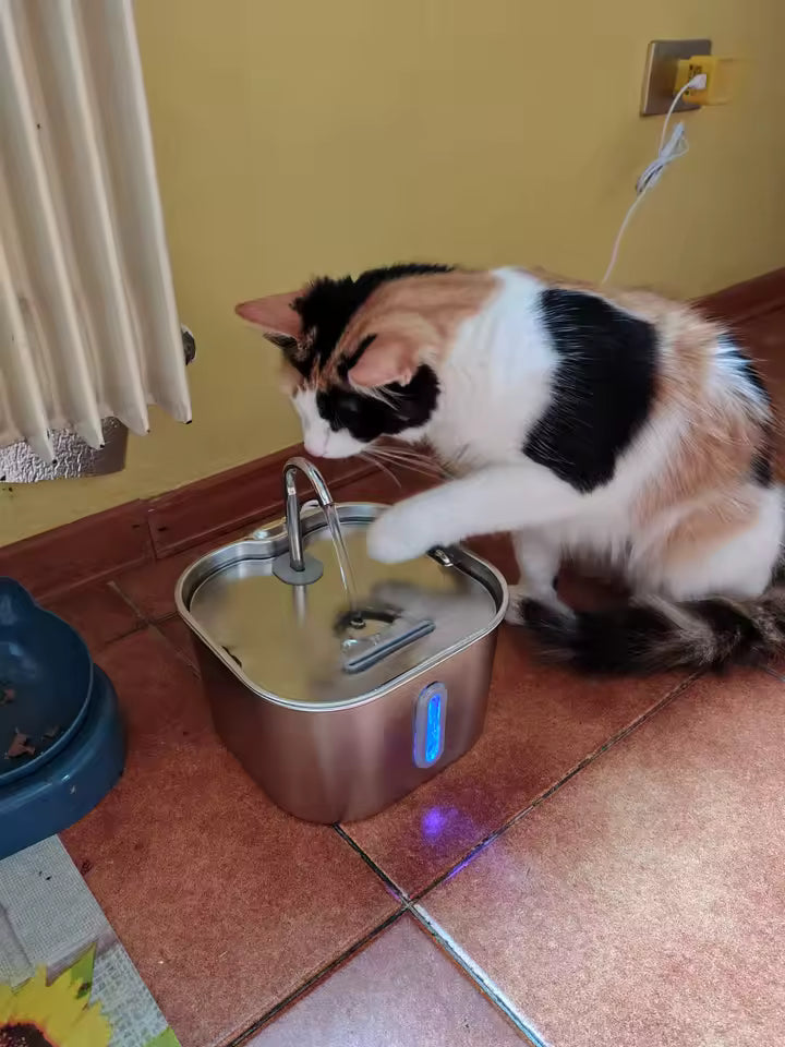 Chat utilisant AquaCare